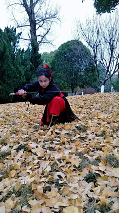 禅拳一如采集到武术