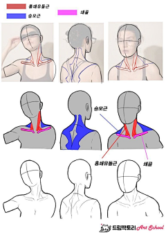 只二狗(눈_눈)采集到人体