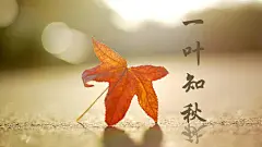 小清新 背景22