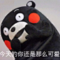 KUMAMON~MON♡_海绵软糖QwQ图片专辑-堆糖