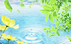 初夏的一抹阳光绿色护眼桌面高清壁纸桌面壁纸2