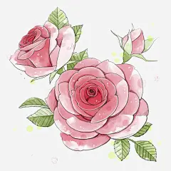 手绘牡丹花高清素材 创意 叶子 唯美 多瓣花 红色 绿叶 花朵 花瓣 免抠png 设计图片 免费下载