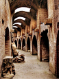 Path of the Gladiator, Colosseum. Rome, Italy.