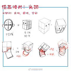 离早采集到头部结构