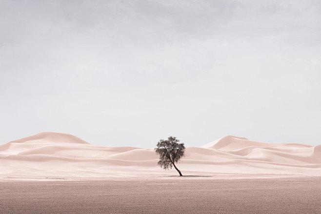 The Desert Portraits...