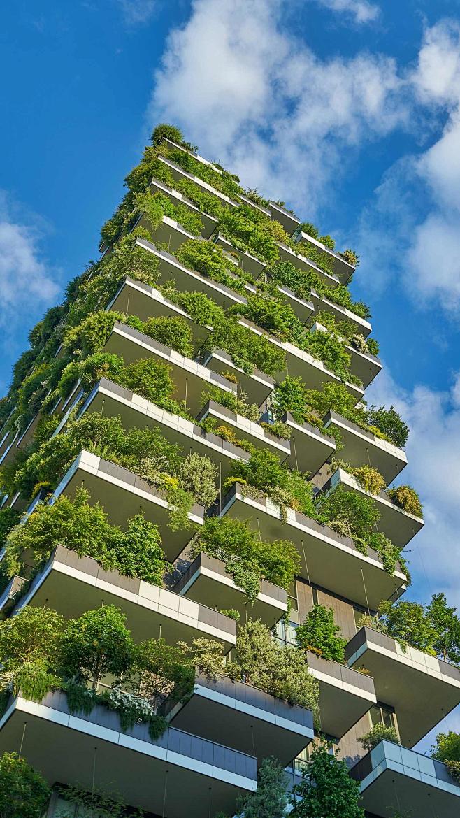 在高楼上覆盖盖植物，已达到解决城市的密集...