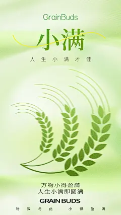 品质小满节气宣传海报
