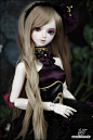 LUTS - Ball Jointed Dolls (BJD) company :: Delf, Bluefairy, Blythe, Doll items like wig, clothes, shoes and Doll faceup materials