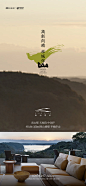 紫薇绿城南山雲庐