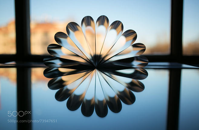 Photograph Reflectio...