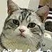 Sauri