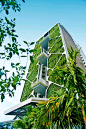 Edificio gigantesco; de hecho es un jardín vertical, una pared ecológica con la vegetación que podría salvar a Singapur.