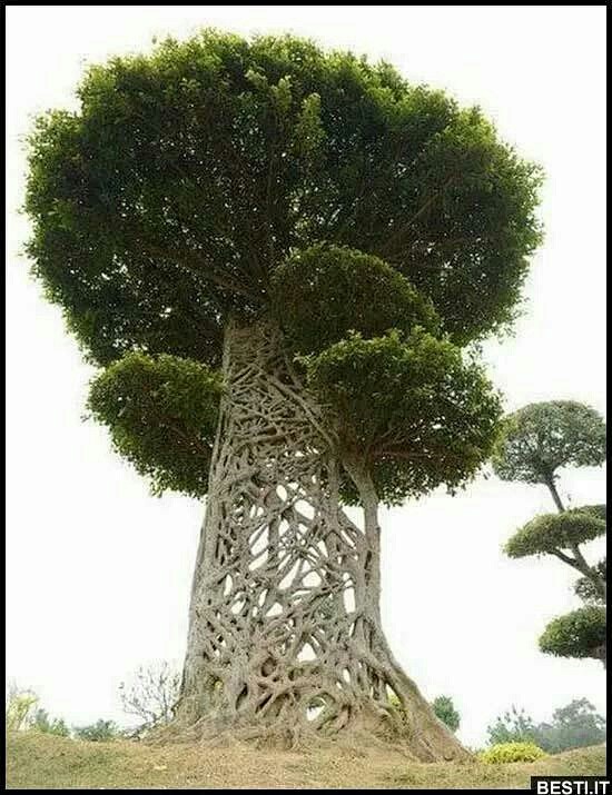 来自分享