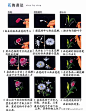 今天www.63diy.com为大家分享一些简单的图案是一组花朵的手绘教程，简单明了的将几种常见花朵的画法和步骤展示出来，供大家一起学习。