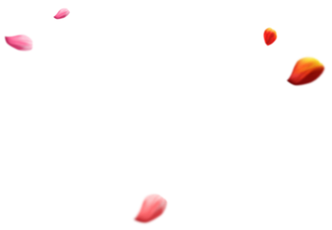 光效 特效 花纹 纹理 光影 动效，JK...