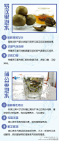 【喝水加一物 排出十年毒！】喝水也能保养皮肤、调理身体？认真的！每天喝水的时候，可以根据习惯或需求，可以加一点：菊花、苦瓜、金银花、柠檬、枸杞、山楂、薄荷、罗汉果、蒲公英、玫瑰花、黄芩、蜂蜜、决明子……止渴生津、防癌养身！(人民网)