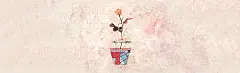 卡通,手绘,唯美,盆栽,背景,banner,海报banner,童趣图库,png图片,网,图片素材,背景素材,15308@飞天胖虎