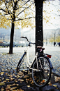 Autumn bicycle in Copenhagen