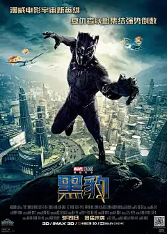 &quot;Black Panther&quot; 《黑豹》
