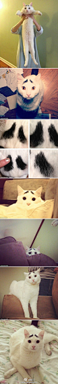 八字眉”囧猫