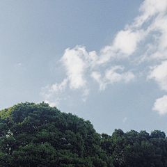 小龙-MOKE采集到山水