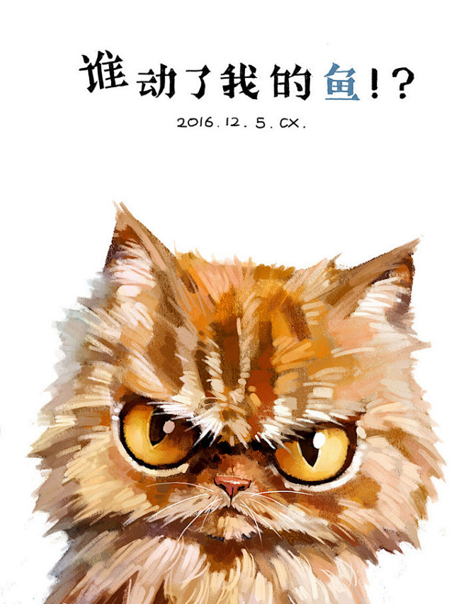 愤怒的老猫-风筝有风_萌宠_涂鸦王国插画