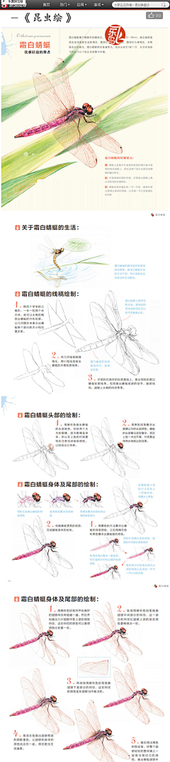 宁有微风带小雨采集到手绘