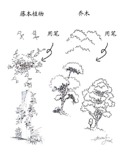一起永远采集到绘画步骤【插画】