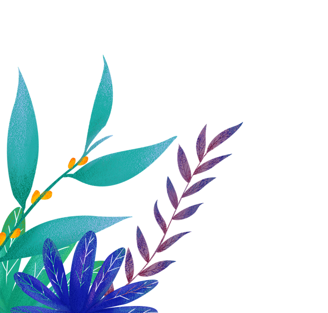 手绘植物 插画 PNG