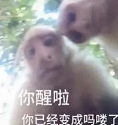 不懂吗喽表情包的好笑点到底在哪里