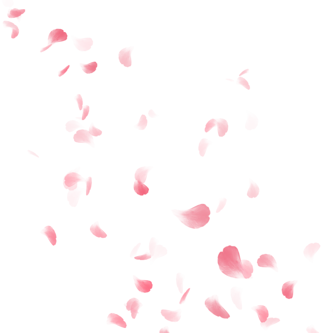 粉色漂浮花瓣玫瑰装饰.PNG