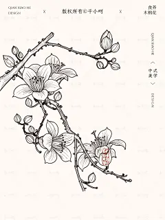 中式美学丨国风手绘木棉攀枝花【药食同源】 - 小红书