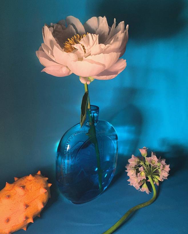 图片中可能有：1 位用户、花和植物