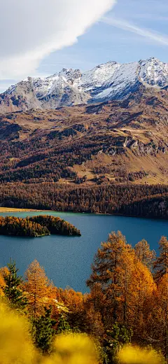 @每阅壁纸 的个人主页 - 微博