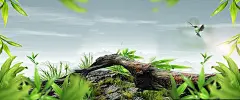 简约绿色,小清新直通车素材,小鸟,树,绿草,自然,清新,海报banner,中国风图库,png图片,,图片素材,背景素材,2506339北坤人素材@北坤人素材