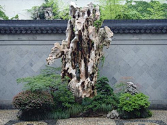 CHKEI采集到花园丨合集