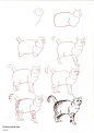 #绘画学习# 一组关于猫的绘画教学，简单清晰的步骤，收了画起来！#素材推荐#
