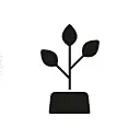 sprouting plant