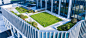 DJI_0015.jpg