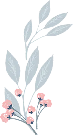 PNG(163图)_@ʚRyanɞ收集_花瓣UI/UX