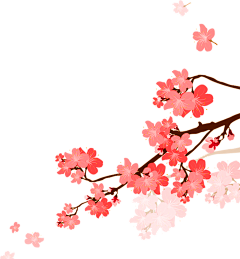幸运的锦玥采集到花卉植物素材
