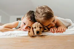 点击来源直接获取大图文件 |Cute little boys having fun with pet Cocker Spaniel puppy dog, lying prone on wtite bed at home under blanket, smiling and playing