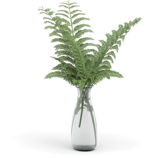盆栽 植物 绿色叶子 透明素材 png ...