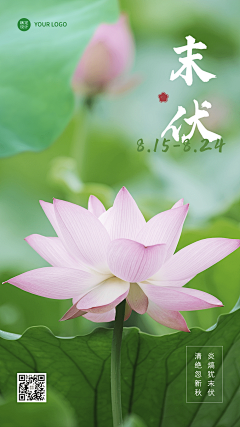 奉一！采集到二十四