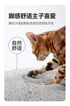 香皂盒子采集到场景