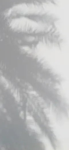 采集图片