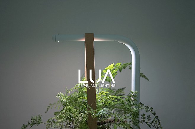 LUA Pet Plant Lighti...