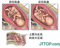 iQitzW0S采集到…ℓ:ℓ