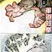 军道杀拳 第九级力量 军道杀拳
