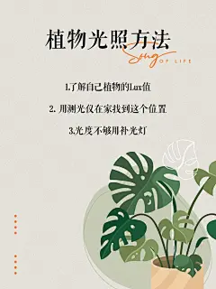 挑战热植圈最全植物光照解析 - 小红书